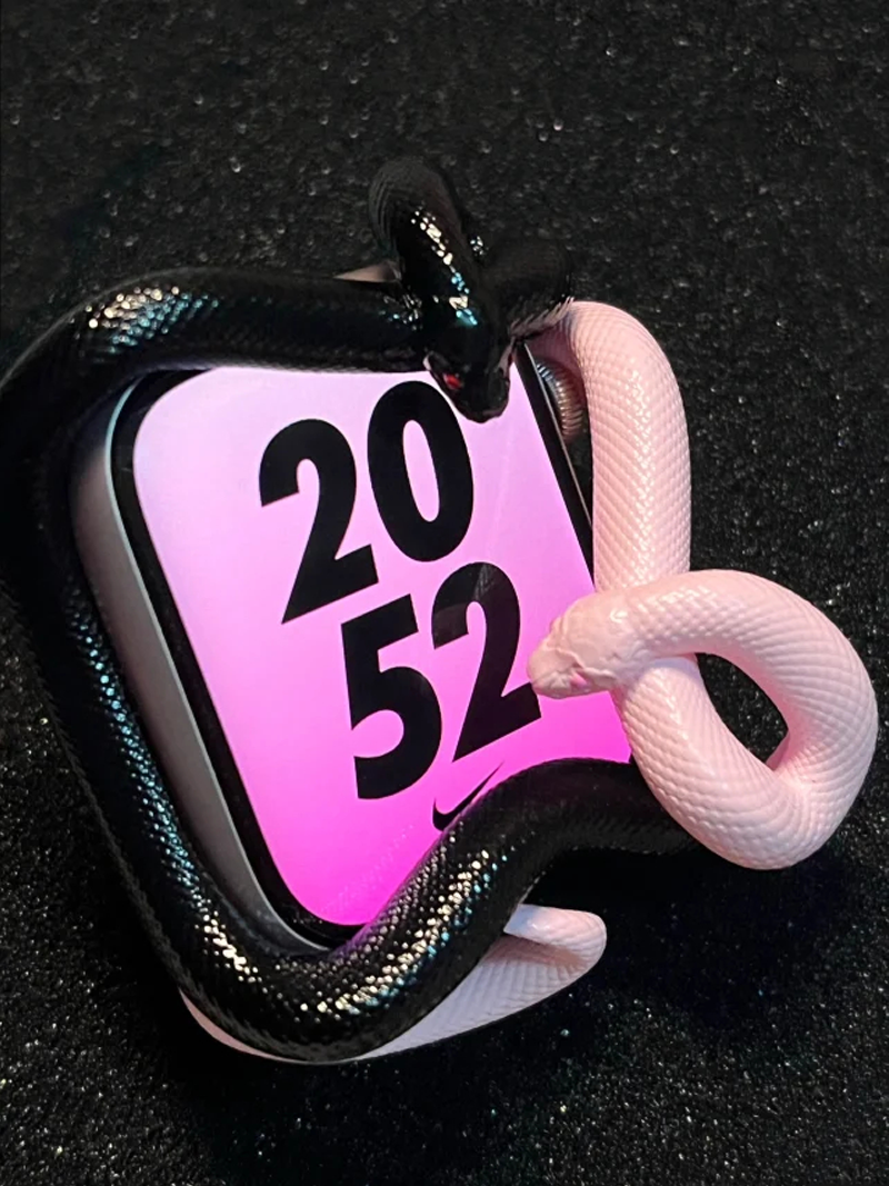 Snake Resin Material Watch Cas - 3D Printing Design Software reseña y precio