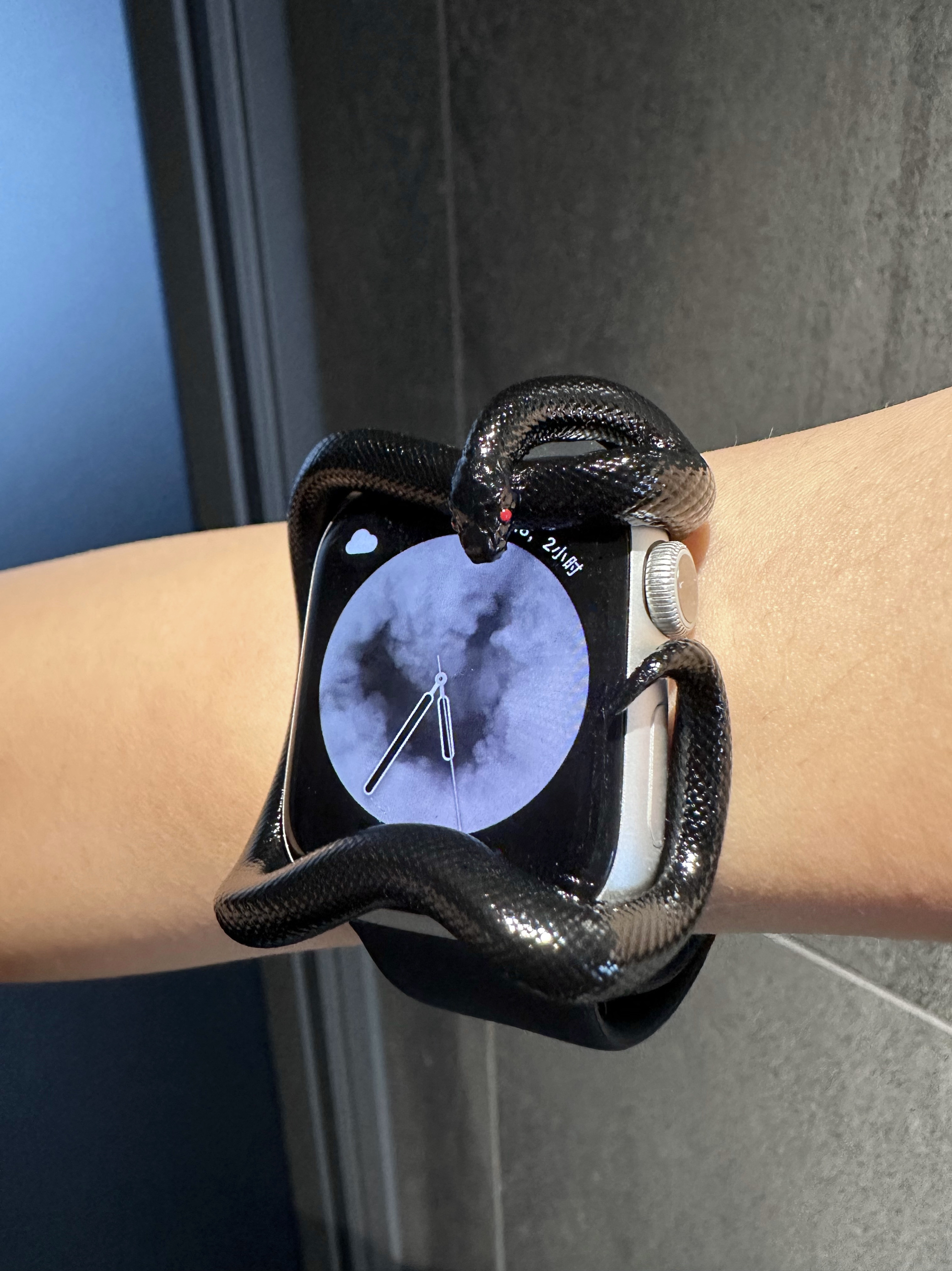 Snake Resin Material Watch Cas - 3D Printing Design Software reseña y precio